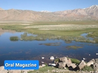 بازداشت و شکنجه یک تن به دلیل عدم همکاری با طالبان